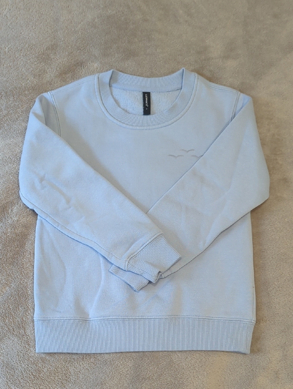Girls Light Blue Crewneck Sweater with Subtle Embroidery - Lazypants 6y